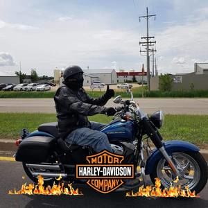 Meet your Posher, Phil